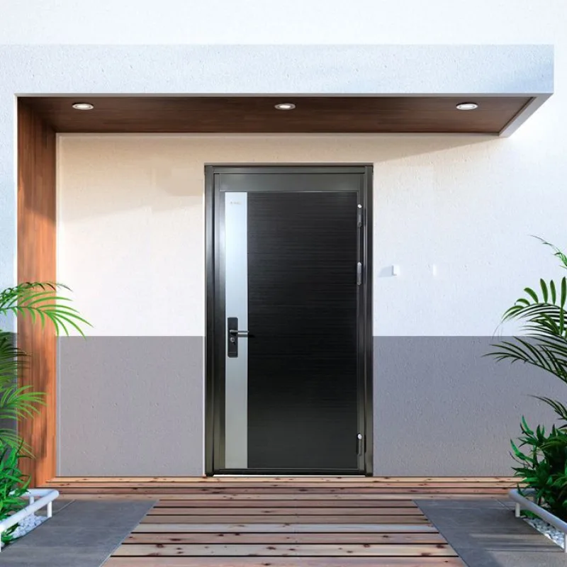 Custom Exterior Security Storm Stainless Steel Entrance Door - HIHAUS